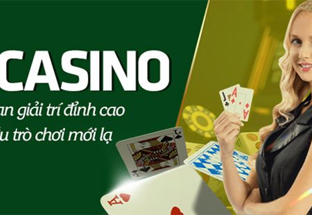 EVO Casino – Không gian giải trí game bài đỉnh cao tại BDVN